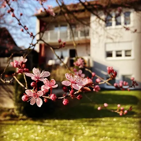 Ferienwohnung Im Aalbachtal - Uettingen Bei Wuerzburg Exterior photo