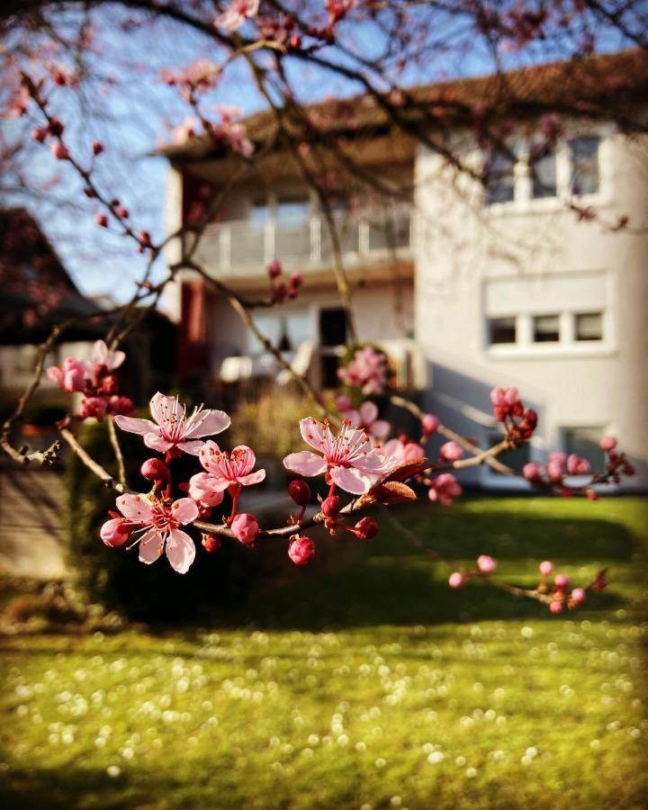 Im Aalbachtal - Bei Wuerzburg * Uettingen